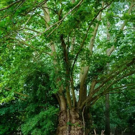 Tiny House Near The Mont-saint-michel *