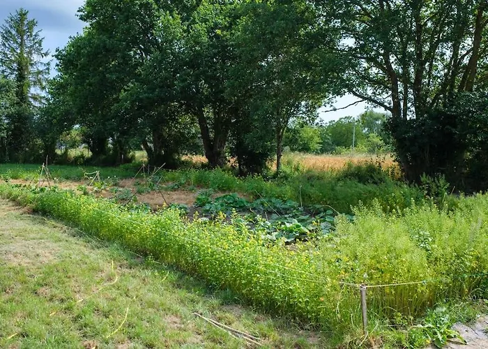 Tiny House Near The Mont-saint-michel * Ducey-Les Cheris