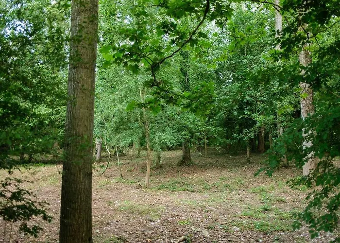 Tiny House Near The Mont-saint-michel Alpehytte *