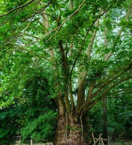 Tiny House Near The Mont-saint-michel *